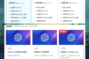 AI玩家网会员权益